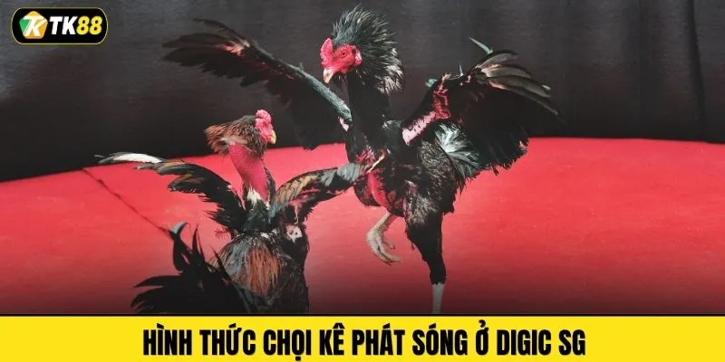 Hình thức chọi kê phát sóng ở DIGIC SG